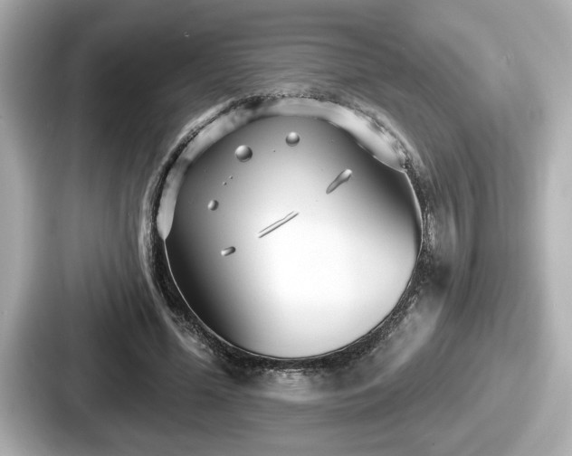 X0000087630588200705101029