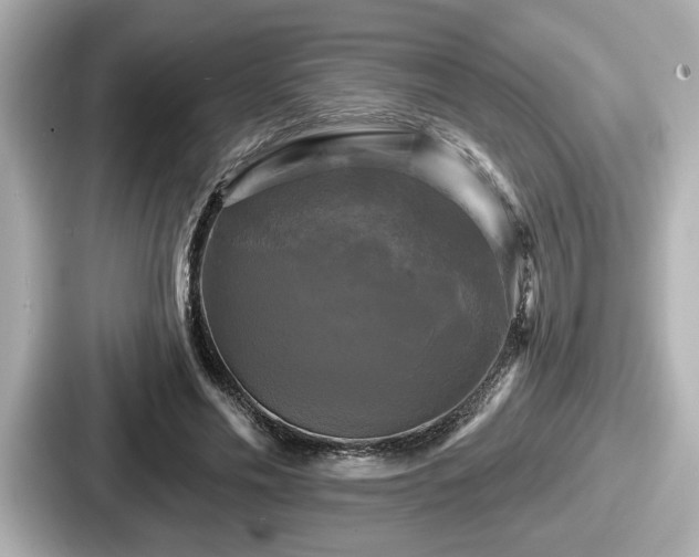 X0000087630589200705101029