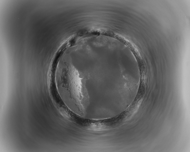 X0000087630591200705101029