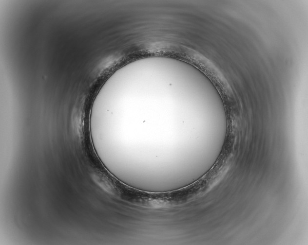 X0000087630592200705101029