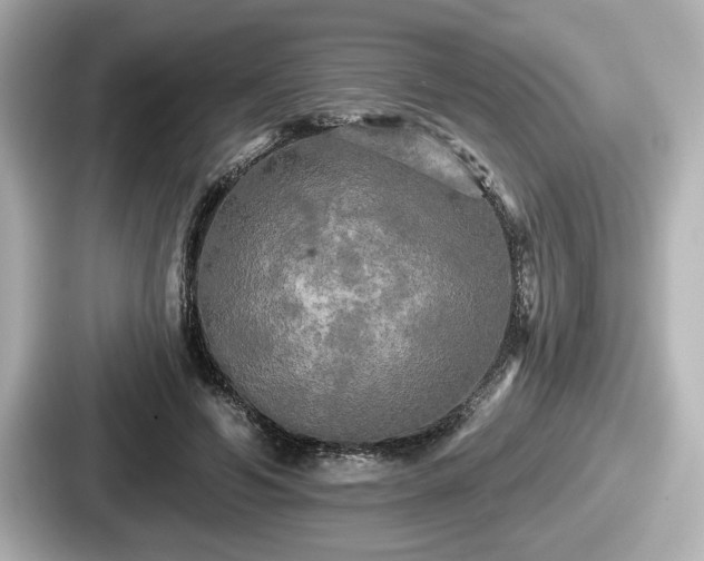 X0000087630594200705101029
