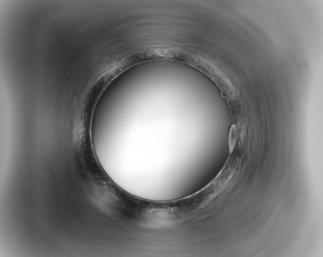 X0000087630595200705101029