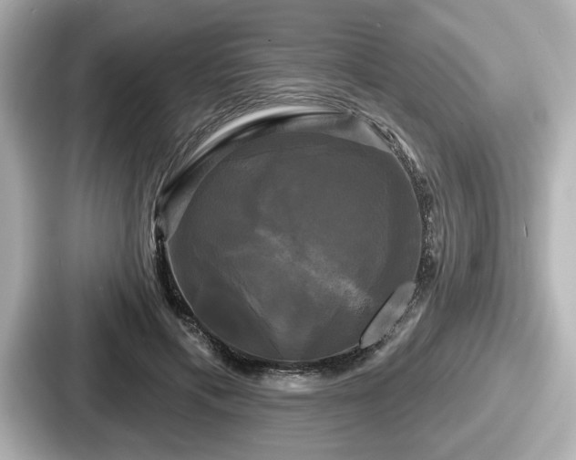 X0000087630597200705101029