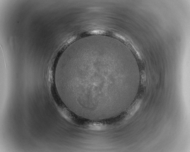 X0000087630598200705101029