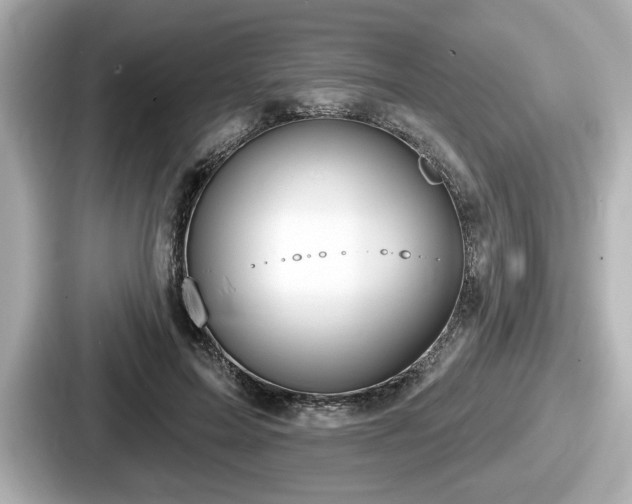 X0000087630599200705101029