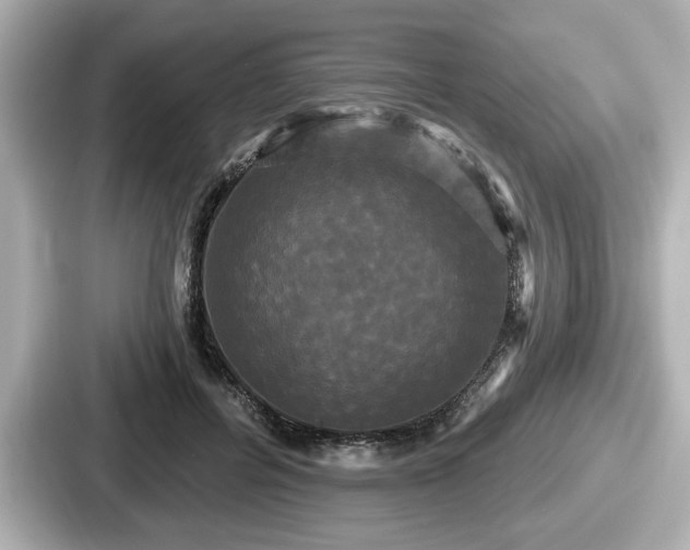 X0000087630600200705101029