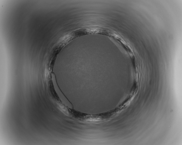 X0000087630601200705101029