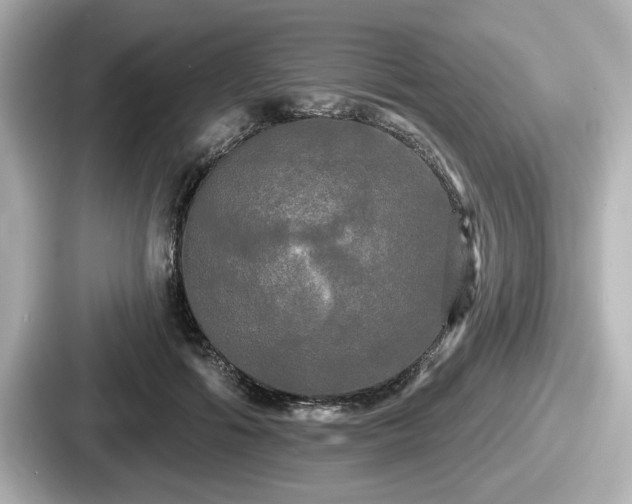 X0000087630602200705101029