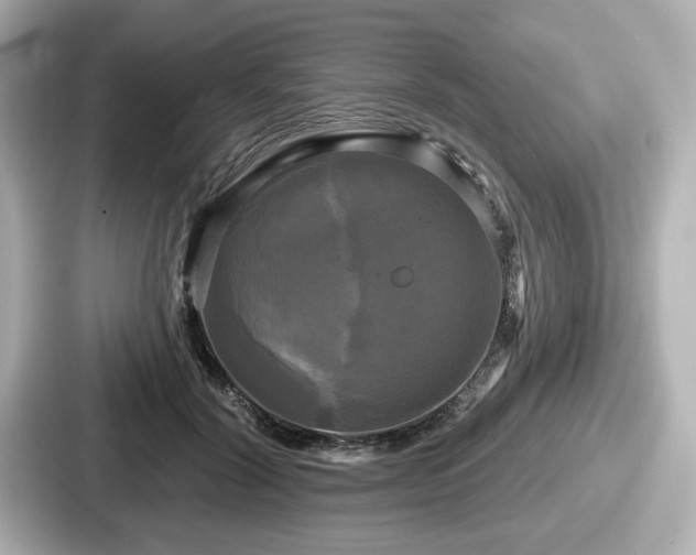 X0000087630604200705101029