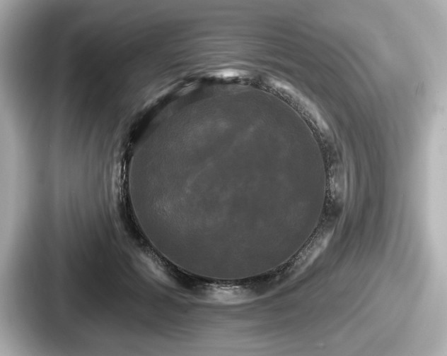 X0000087630605200705101029