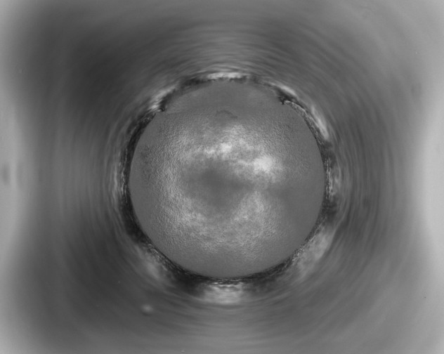 X0000087630606200705101029