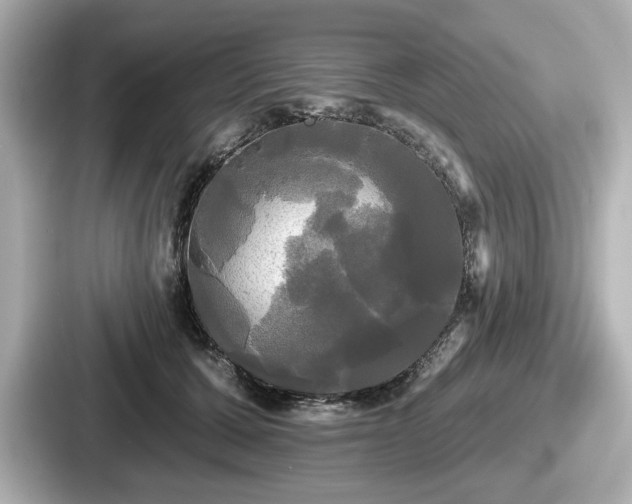 X0000087630607200705101029