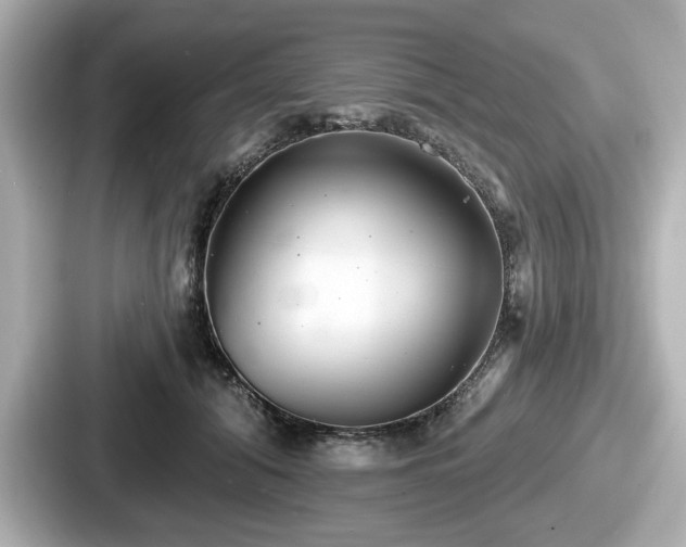 X0000087630608200705101029