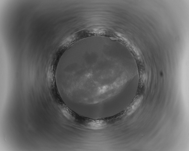 X0000087630609200705101029