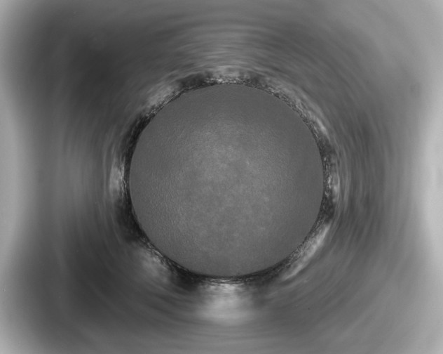 X0000087630610200705101029