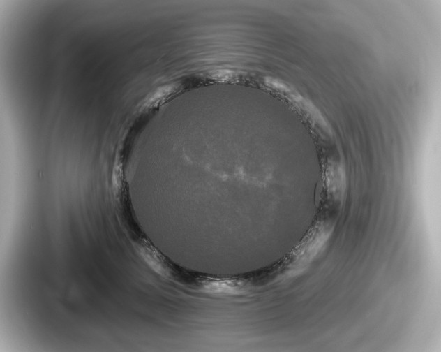 X0000087630611200705101029