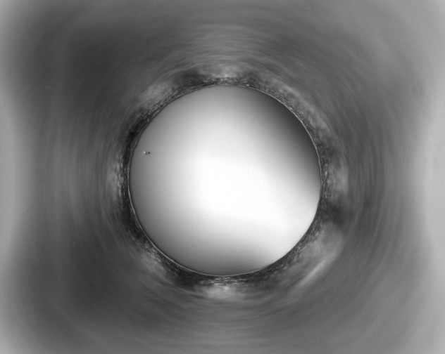 X0000087630612200705101029