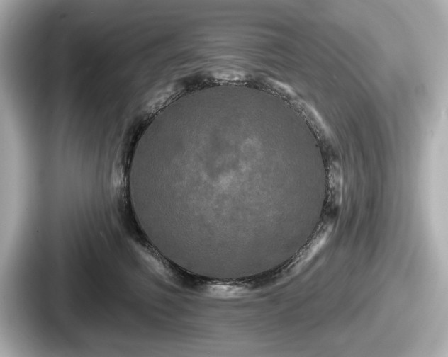 X0000087630614200705101029