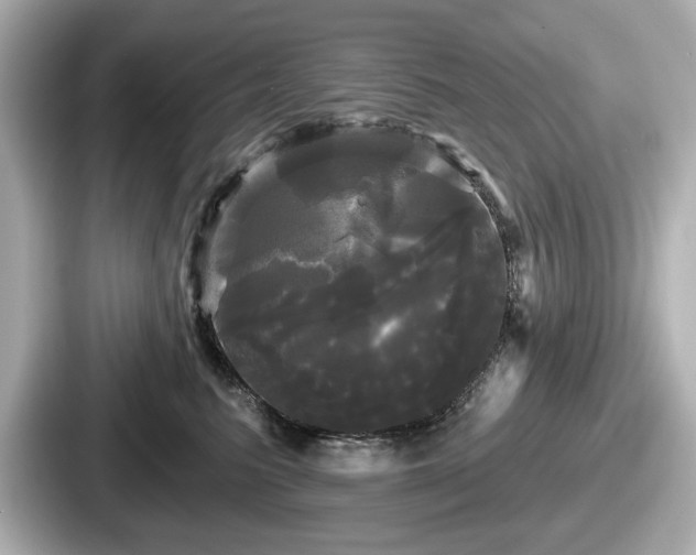 X0000087630615200705101029