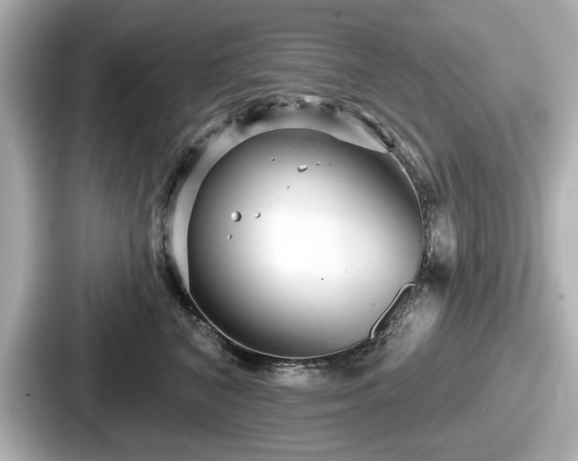 X0000087630616200705101029