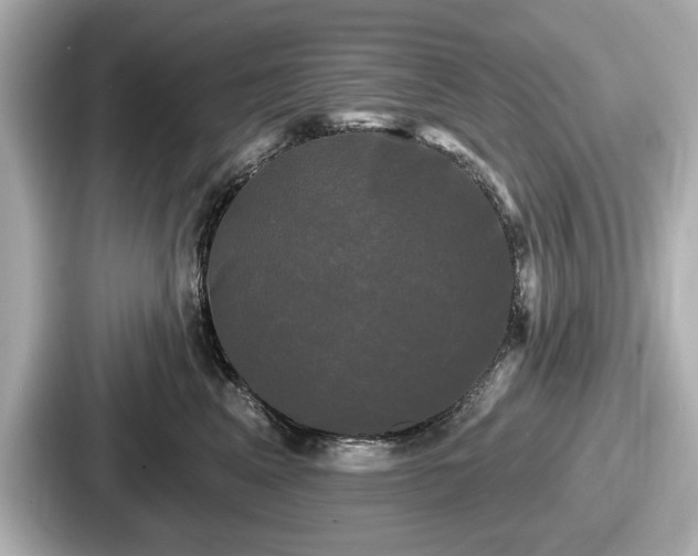 X0000087630617200705101029