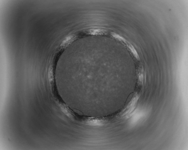 X0000087630620200705101029