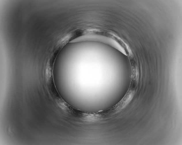 X0000087630621200705101029