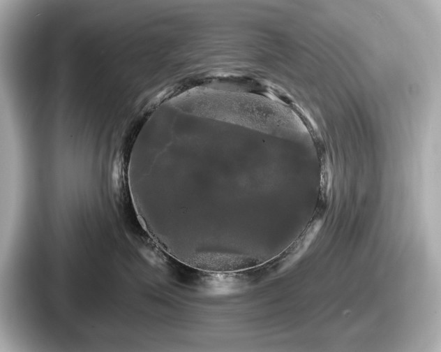 X0000087630623200705101029