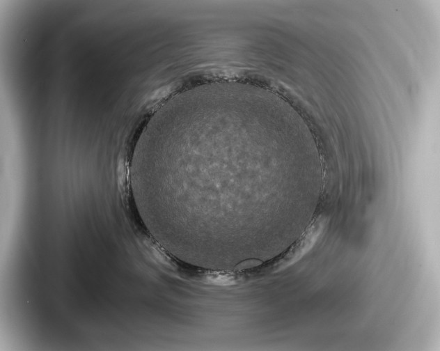 X0000087630624200705101029