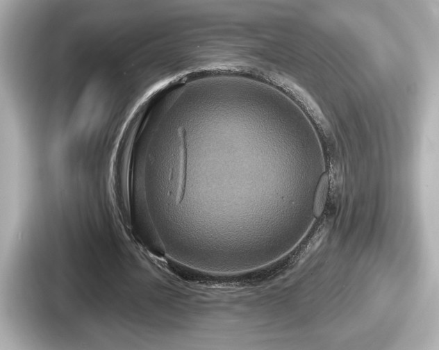 X0000087630628200705101028