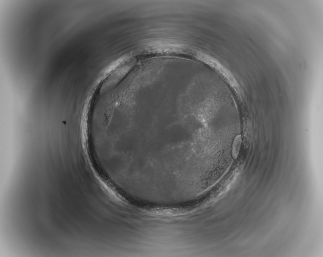 X0000087630629200705101028