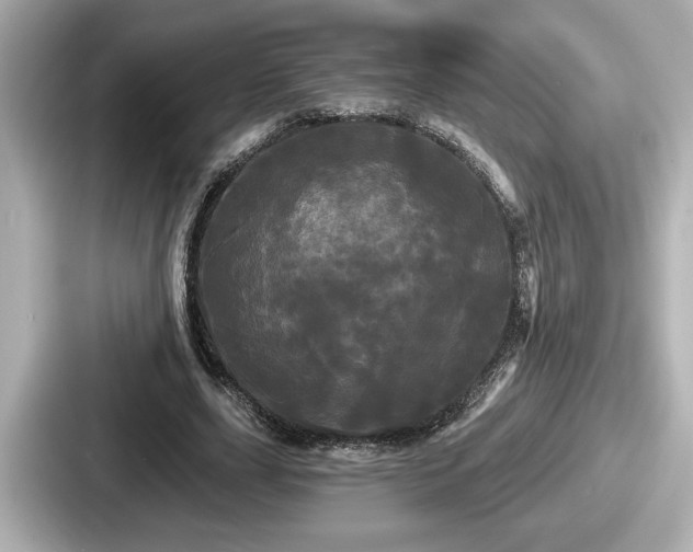 X0000087630631200705101028