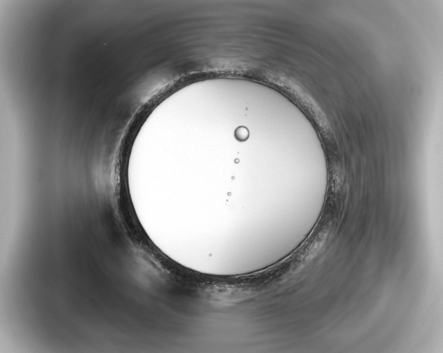 X0000087630632200705101028