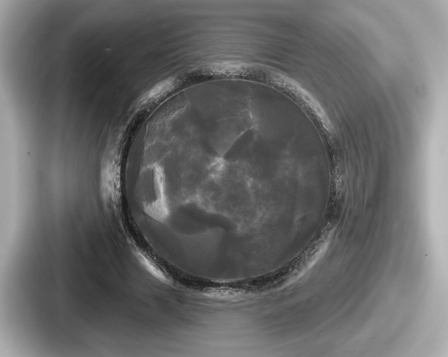 X0000087630633200705101028