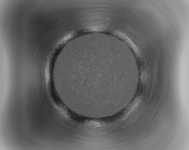 X0000087630635200705101028