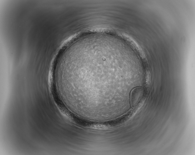 X0000087630636200705101028