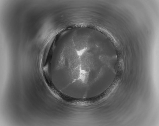 X0000087630638200705101028