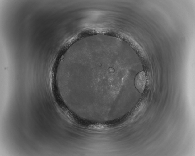 X0000087630639200705101028