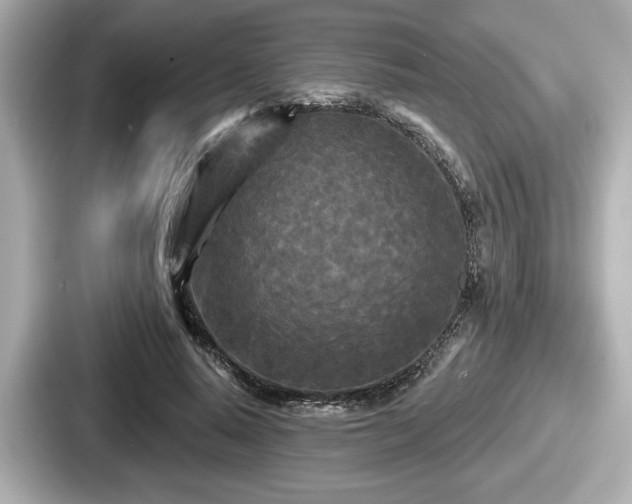 X0000087630640200705101028