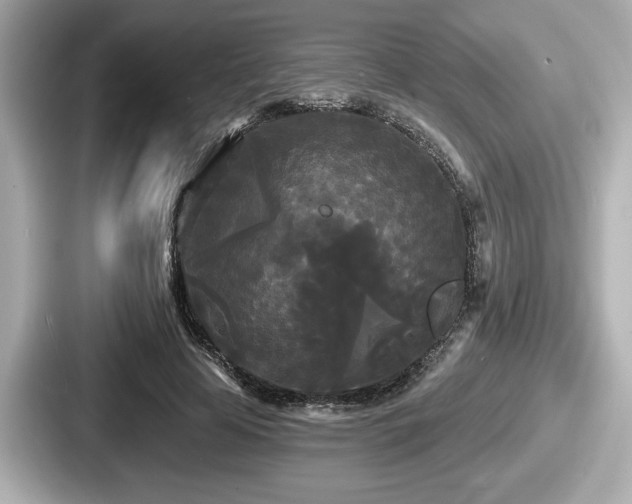 X0000087630641200705101028