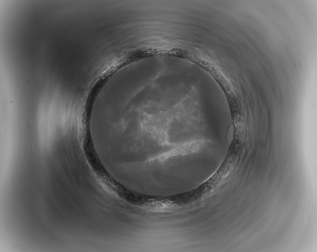 X0000087630642200705101028