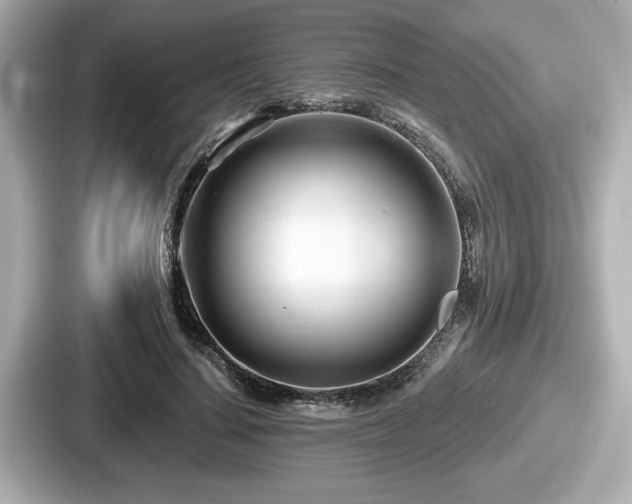 X0000087630644200705101028