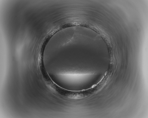 X0000087630646200705101028