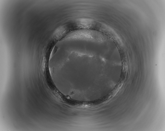 X0000087630647200705101028