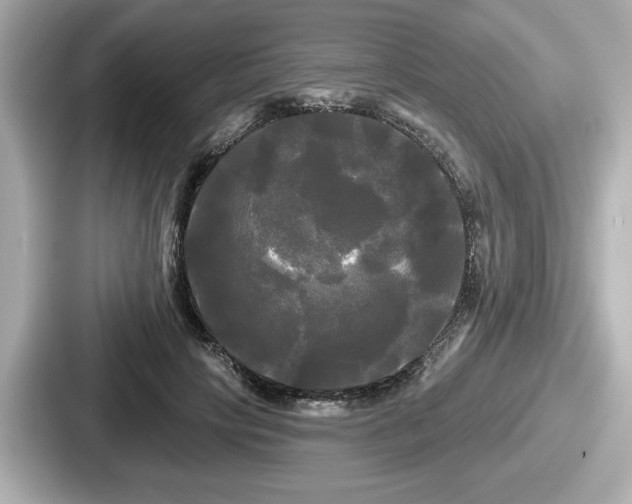 X0000087630649200705101028