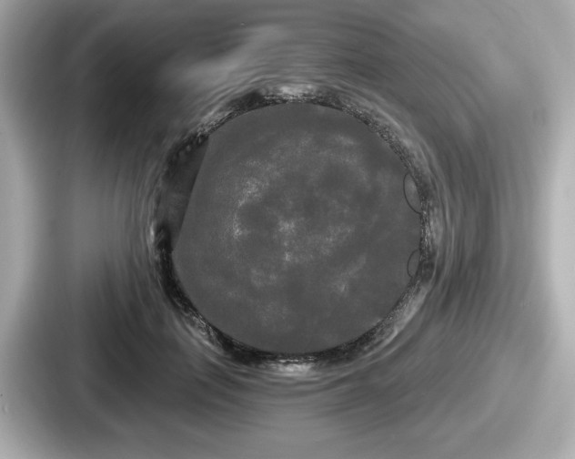 X0000087630651200705101028