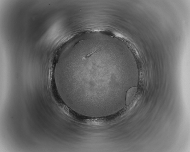 X0000087630652200705101028