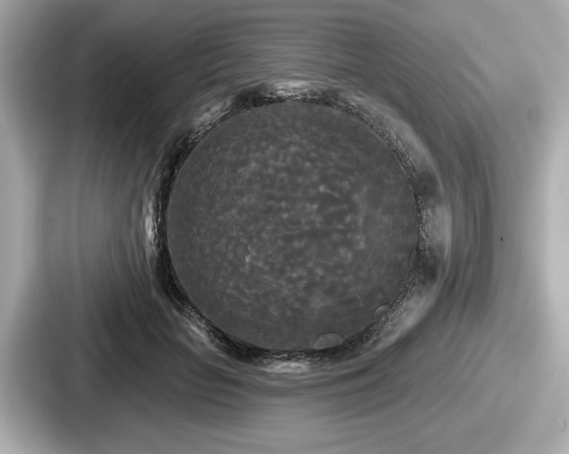 X0000087630653200705101028