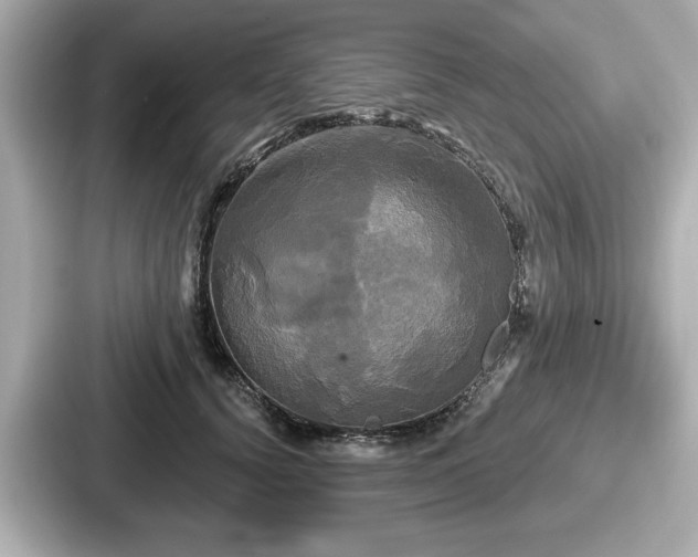 X0000087630656200705101028