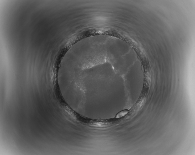 X0000087630657200705101028